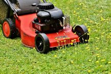 Comment utiliser une motobineuse pour semer votre pelouse ?